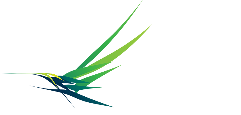 aerial_logo_DRONECADDY